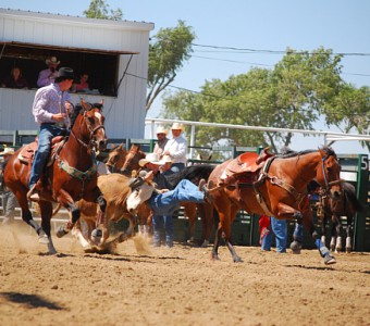 photo-gallery-kravig-Doggin-Linc Co Fair Rodeo (1)