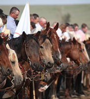 Colorado-Championship-Ranch-Rodeo–Grand-Entry-sm