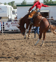 Colorado-Championship-Ranch-Rodeo–sm