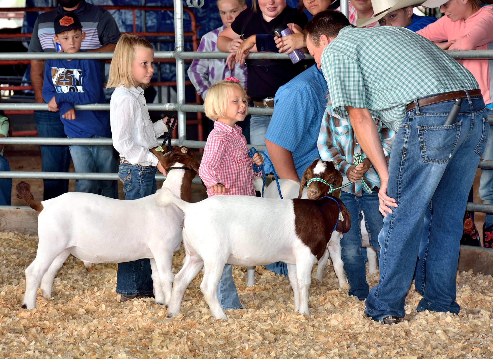 Lincoln County Colorado Fair 2025